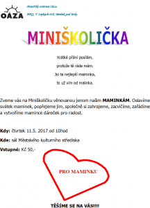 minisolicka-dm-2017